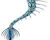 AquaMarine spiked tail