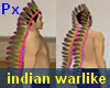 Px Indian Warlihe