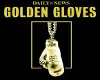 Golden Glove Boxing Pic