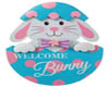 HAPPY BUNNY