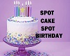SPOT Birthday(no cake)