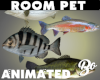 *BO ROOM PET FISHIN FISH