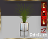 zZ Indoor Plants