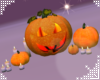 S. Pumpkin Set