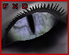 (FXD) Wolf Eyes