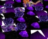 purple rose pollows