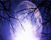 Spooky Full Moon Poster