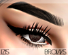 I│Shelby Brows Black