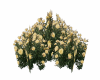 Bush Yellow Flower V2