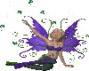 purple blue fairy