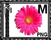 Pink Flower Sticker Md.