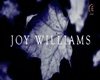 Joy Williams-Ordinary W.