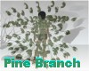 AO~Pine Branch Add