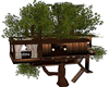 TREE HOUSE