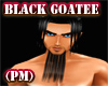 PM) Black Long Goatee