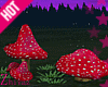 Z - Magic Mushrooms 1