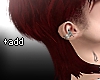 ✦ Back 04+