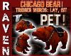 CHICAGO BEARS PET BEAR!