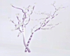 Lilac Tree Wedding