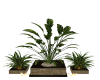 Trio Plants Set