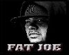 Fat Joe Picture 2