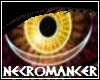 Necromancer Eyes