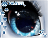❄ Solstice 2T Eyes