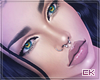 K| Xyla No Blend Head