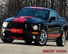~MI~Mustang GT500 pic