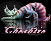 Cheshire Heart Swing