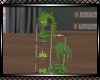 **Infinity  Plant Stand