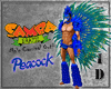 Samba Peacock Bundle