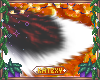 ꨄSparta Tail 1ꨄ