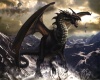 Dragon Poster 2