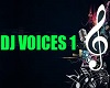 ER- DJ VOICES 1