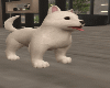 perrito   blanco