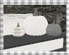 Grey/White Pumpkins