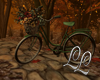 Fall Magical Bicycle