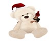 CHRISTMAS TEDDY BEAR