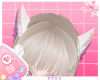 蜂| Pinku Kitten Ears