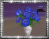 Blue Flowers