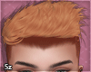 Sz l Cam Ginger