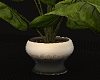 |Blk| A* Ceramic Vase