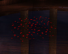 Rose Petals