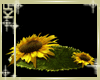 Sunflower Filler