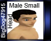 [BD] Small Male head