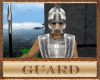 -King- Guard (3d)