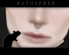 Ring Septum