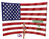 {LDs}USA Flag -DJActions