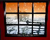 amni winter window